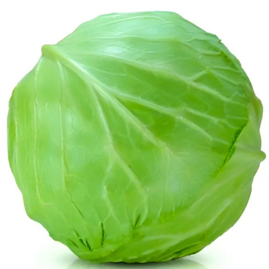 Cabbage