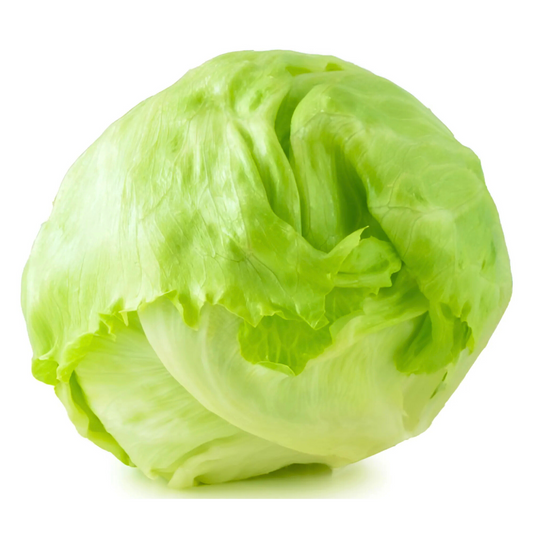 Lettuce